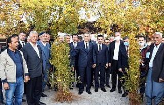 Adıyaman’da çiftçilere nar fidanı dağıtıldı