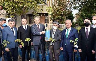 Adıyamanlı çiftçilere 25 bin ceviz fidanı dağıtıldı
