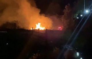 Ağaç yığınlarının bulunduğu alanda korkutan...