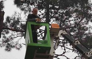 Ağaçta mahsur kalan kediyi Çekmeköy Belediye Başkanı...