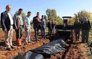 Alaşehir’de çilek üreticilerini sevindiren hizmet:...