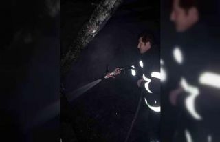 Alevlere teslim olan ahşap kullanılmaz hale geldi,...