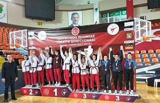 Ankara’dan 3 bronz madalya ile döndüler