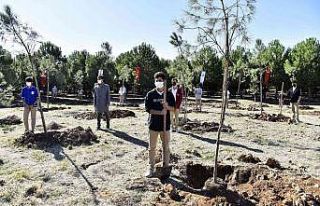 Antalya OSB Teknik Koleji öğrencileri fidan dikti