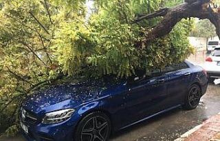 Antalya’da şiddetli yağış etkili oluyor
