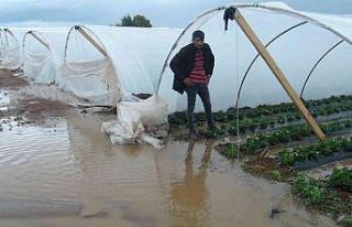 Antalya’da yağmur çilek seralarını sular içinde...