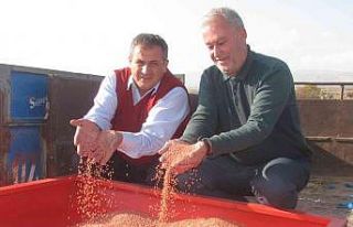 Araban Ovası’nda makarnalık buğday ekimine başlandı