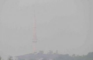 Araban’da yoğun sis etkili oldu