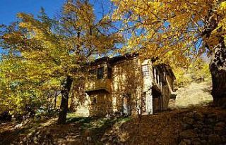 Arapgir’de sonbahar doğal güzelliğiyle görenleri...