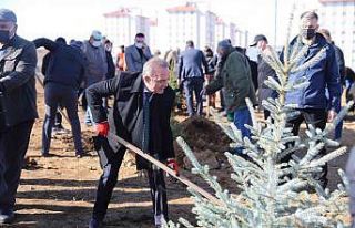 Ardahan’da binlerce fidan toprakla buluştu