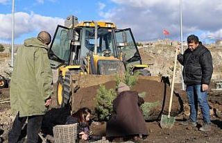 Ardahan’da yeşillendirme ve ağaç dikim çalışması