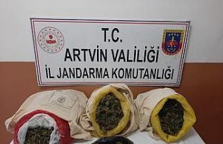 Artvin’de 4 kilo 183 gram kubar esrar ele geçirildi