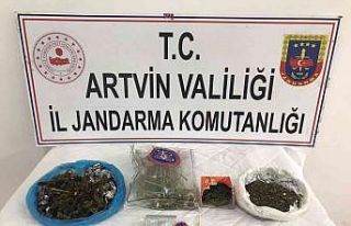 Artvin’de jandarmanın uyuşturucu operasyonunda...