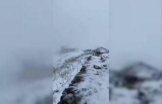 Artvin’in Arhavi ilçesinde bulunan Nopapeni Yaylası’na...