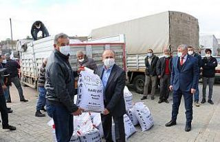 Atıl araziler fiğle yeşeriyor
