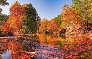 Ayşe Pınarı hayran bırakıyor