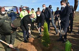 Ayvalık’ta 11 Kasım Milli Ağaçlandırma Günü...