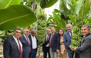 Bafra Sera OSB Antalya’da tanıtıldı
