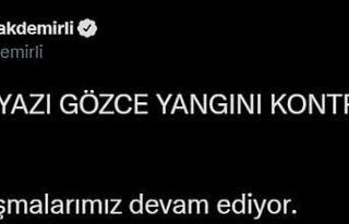 Bakan Pakdemirli, Mersin Bozyazı’daki yangının...
