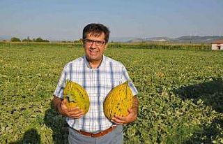 Bakan Pakdemirli’ye ’Kırkağaç kavunu’ çağrısı