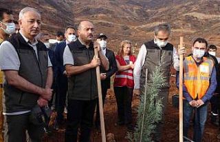 Bakan Yardımcısı Metin, Marmaris’teki fidan dikme...
