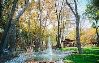Bakımsız vadi doğal yaşam parkına dönüştürüldü