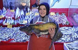 Balık pazarında tezgahlar doldu taştı