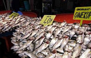 Balık tezgahlarında çupra ve çinekop bolluğu