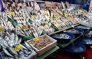 Balık tezgahlarında lüfer balığı yerini hamsiye...