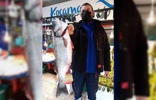 Balıkçıların ağına takıldı 900 Liraya satışa...