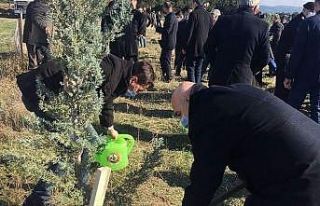 Bandırma Belediyesi ağaçlandırma projesine destek...