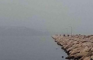 Bandırma sis altında