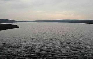 Baraj gölünde toplu balık ölümleri korkutuyor