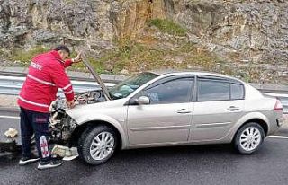 Bariyerlere çarparak durabildi