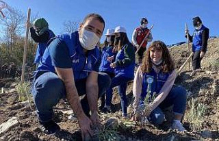 Bartın’da 39 bin 500 fidan toprakla buluşturuldu