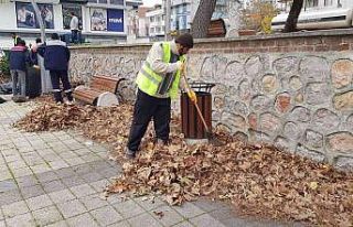 Başiskele’de lodos sonrası temizlik