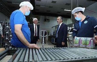 Başkan Aktaş, "Marmarabirlik, zeytinciliğin...