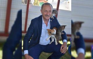 Başkan Atabay, sokak hayvanlarına yapılan kötü...