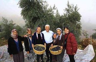 Başkan Gürün hasat yaptı, köylüyü uyardı