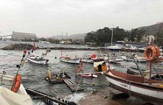 Başkan Söğüt, tekneleri zarar gören balıkçılardan...