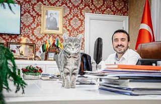 Başkan Tanır’ın sahiplendiği kedi, Kestel Belediyesinin...