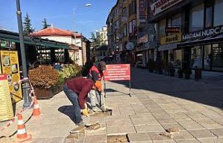 Başkan Vidinlioğlu: "Samimi ve yapıcı eleştiriye...