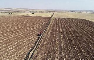 Batman Sağ Sahil Sulaması 2.Kısımda 77 Bin 300...