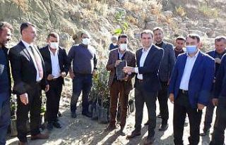 Batman zeytin diyarı olma yolunda