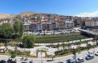 Bayburt hem aşıda hem vakada düşük