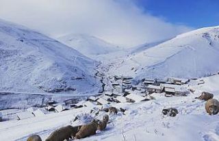 Bayburt - Trabzon sınırındaki köyler kar beyaz