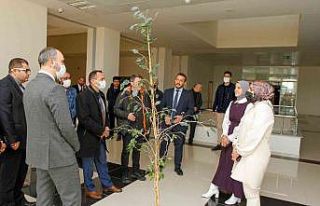 Bayburt Üniversitesinde öğrenci konseyi seçim...