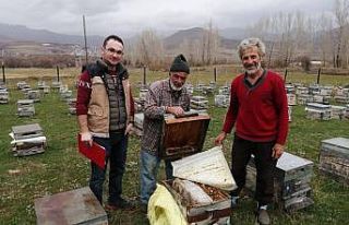 Bayburt’ta 2021 yılı arılı kovan desteklemesi...
