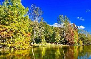 Bayburt’ta kartpostallık sonbahar!