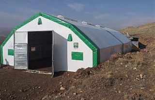Bayburt’ta küçükbaş hayvan yetiştiriciliği...